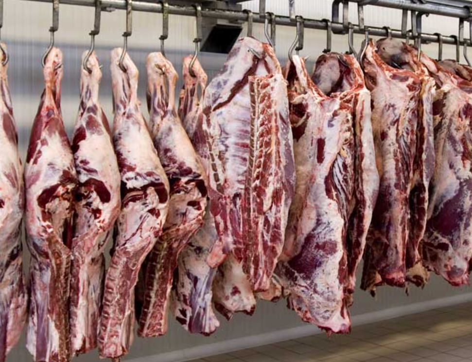 臭氧在牛肉行业中，保鲜领域的创新应用